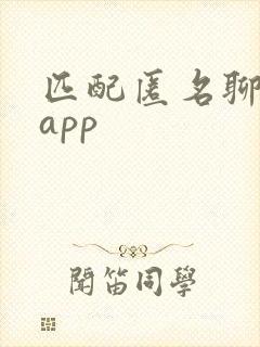 匹配匿名聊天的app