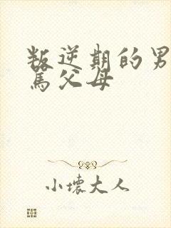叛逆期的男孩子骂父母