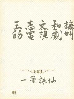 王志文和梅婷演的电视剧叫什么名
