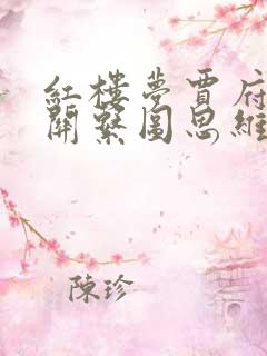 红楼梦贾府人物关系图思维导图