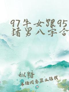 97牛女跟95猪男八字合不合婚
