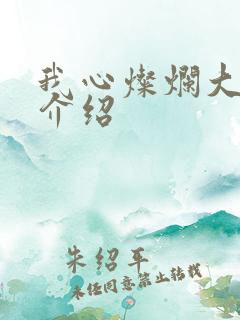 我心灿烂大结局介绍