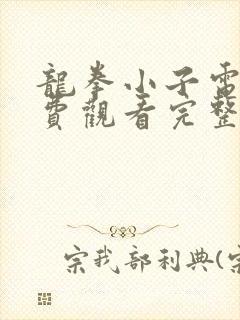 龙拳小子电影免费观看完整版高清