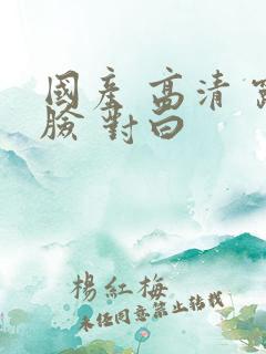 国产 高清 露脸 对白