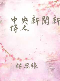 中央新闻新女主持人