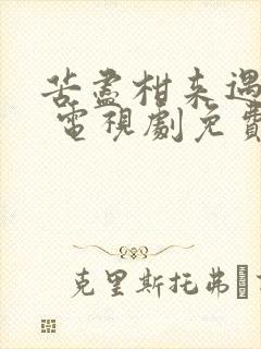 苦尽柑来遇见你 电视剧免费观看中