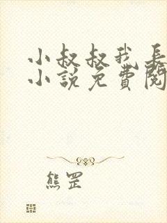 小叔叔我长大了小说免费阅读全文