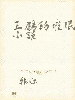 王鹏的催眠眼镜小说