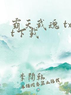 霸天武魂 txt下载