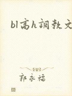 bl高h调教文
