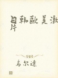 日韩欧美激情爽片