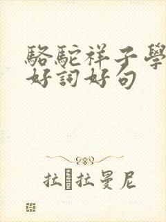 骆驼祥子学到的好词好句