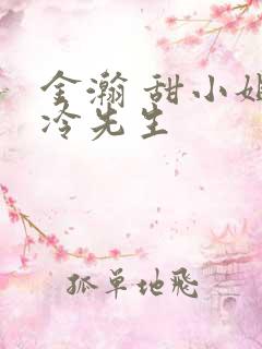 金瀚 甜小姐与冷先生