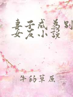 妻子成为别人的女友小说
