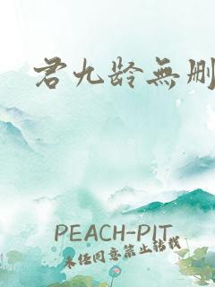 君九龄无删减版