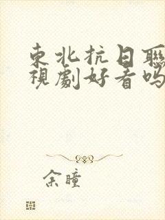 东北抗日联军电视剧好看吗