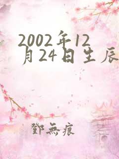 2002年12月24日生辰八字