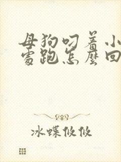 母狗叼着小狗到处跑怎么回事