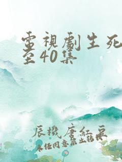电视剧生死连1至40集