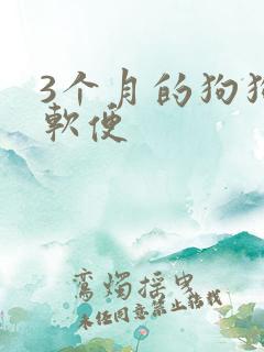 3个月的狗狗拉软便