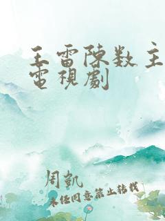 王雷陈数主演的电视剧