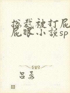 总裁被打屁股抽屁眼小说sp