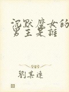 沉默魔女的秘密男主是谁