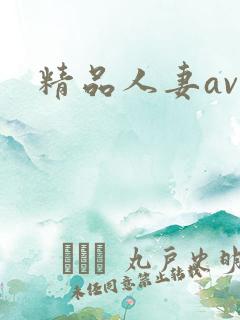 精品人妻av区
