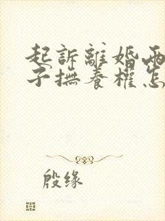 起诉离婚两个孩子抚养权怎么判