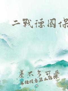 二战德国保安师