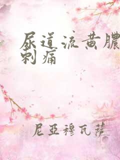 尿道流黄脓小便刺痛