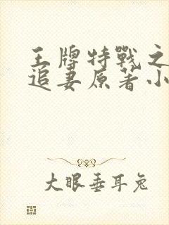 王牌特战之军少追妻原著小说