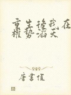 重生后我在官场权势滔天