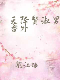 天降贤淑男漫画番外