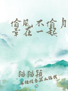 偷风不偷月第几章在一起
