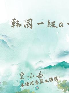 韩国一级a一片