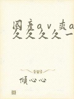 国产aⅴ爽av久久久久一区