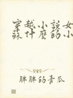 穿越小说女主叫苏什么的小说