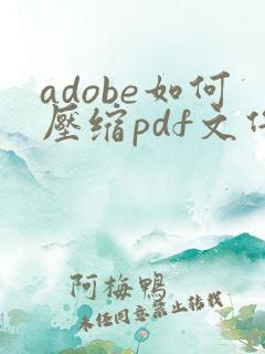 adobe如何压缩pdf文件大小