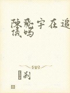 陈飞宇在追张婧仪吗