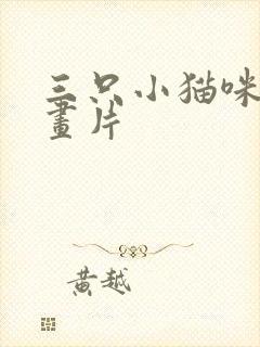 三只小猫咪的动画片