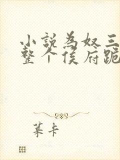 小说为奴三年后整个侯府跪求我原谅主角