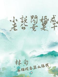 小说闪婚成宠,老公竟是千亿大佬