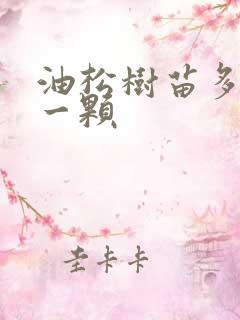 油松树苗多少钱一颗