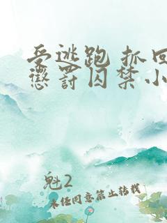 受逃跑 抓回 惩罚囚禁小说