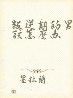 叛逆期的男孩子该怎么办