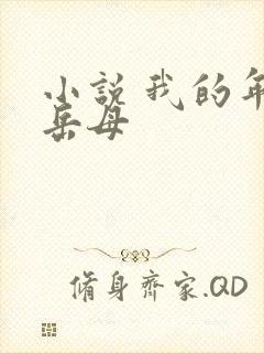 小说 我的年轻岳母