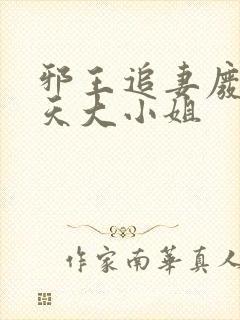 邪王追妻废材逆天大小姐