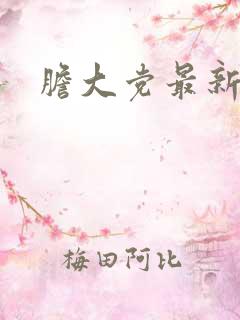 胆大党最新一集