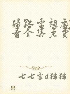 归路电视剧在线看全集免费高清下载